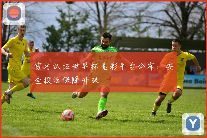 官方认证世界杯竞彩平台公布,安全投注保障升级