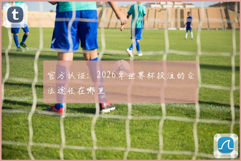 官方认证：2026年世界杯投注的合法途径在哪里
