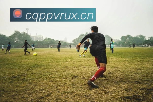 星空体育在线平台登录APP 高清赛事图